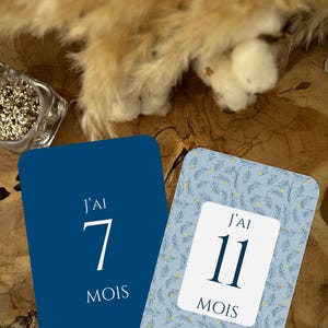 Cartes étapes bébé - BLEU - première année - mois anniversaire  - cadeau naissance - souvenirs bébé - évolution - grossesse