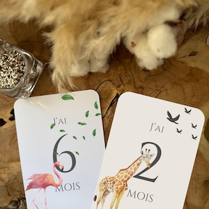 Peut inclure: Deux cartes étapes pour bébé avec des illustrations. Une carte représente un flamant rose et le chiffre 6, l'autre une girafe et le chiffre 2. Les deux cartes ont le texte "J'AI MOIS".