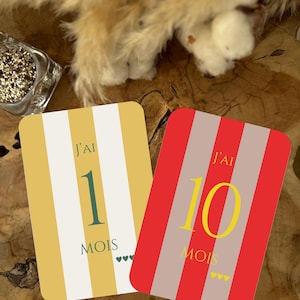 Cartes étapes bébé - RAYURES - première année - mois anniversaire  - cadeau naissance - souvenirs bébé - évolution - grossesse