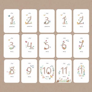 Cartes étapes bébé - première année - évolution bébé - cadeau naissance - 1ere année - mois anniversaire - souvenirs bébé - grossesse