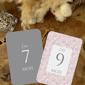 Cartes étapes bébé - ROSE & GRIS - première année - mois anniversaire  - cadeau naissance - souvenirs bébé - évolution - grossesse