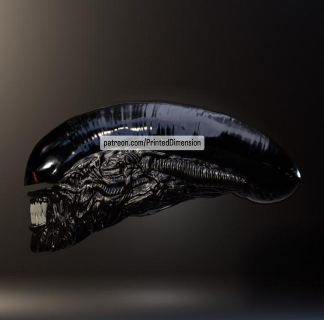 Xenomorph Mask/helmet - Etsy