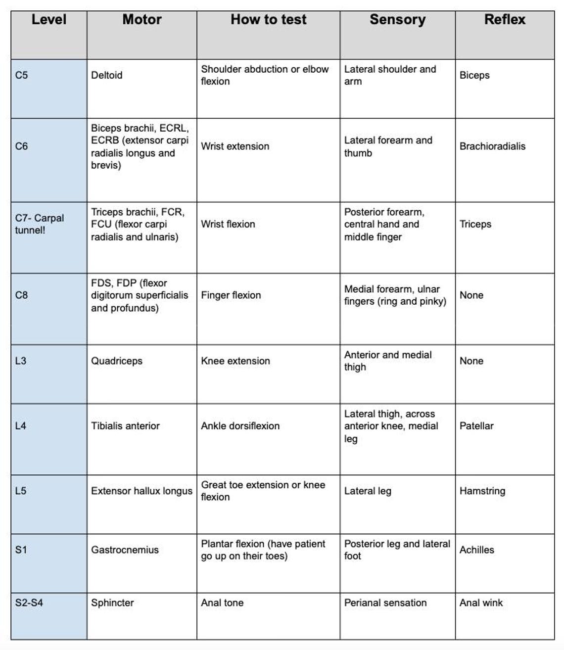 PA Orthopedic End of Rotation and PANCE Study Guide - Etsy