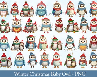 Christmas Owl Clipart: Winter Woodland Animals PNG (Digital Download)
