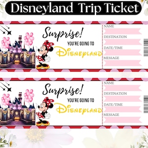 Bearbeitbares Disneyland Ticket, Disneyland Ticket, Überraschungsurlaubsticket, Überraschungsticket, Digitaler Download PDF, bearbeitbares Überraschungsticket