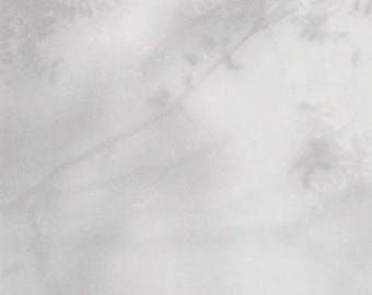 May include: A blurry, faded image of a white background with light gray shadows and shapes.