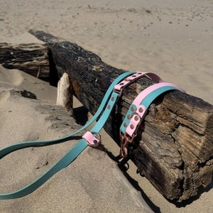 BioThane® Two-Tone Infinity Lead® | Hands-Free Dog Lead | Design Your Own | Waterproof