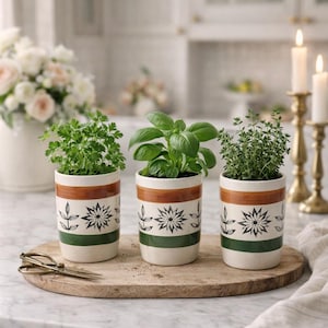 May include: Three ceramic herb pots with parsley, basil, and thyme. The pots are cream-colored with brown and green stripes, and a black floral design. The pots sit on a wooden tray with a pair of scissors.