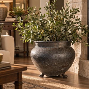 May include: A large, dark, hammered metal planter with a rounded body and three small feet, containing a lush green olive tree branch with small round olives. The planter has a textured, metallic finish and a wide, open top rim.