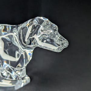 May include: A clear glass sculpture of a dog's head and upper body. The dog is facing right, with detailed features and a smooth, reflective surface. The sculpture is set against a dark background, highlighting the clarity of the glass.