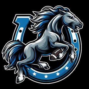 Indianapolis Colts Football Team Graphic T-Shirt - Design 3