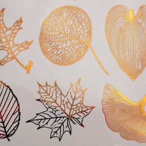 Può includere: Un set di sette adesivi in ​​foglia d'oro con vari disegni di foglie. Gli adesivi sono perfetti per aggiungere un tocco di natura a lavoretti, diari e altri progetti.