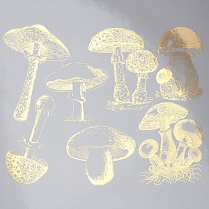 Vintage Mushroom Ceramic Decals, Glass Decals or Enamel Decals