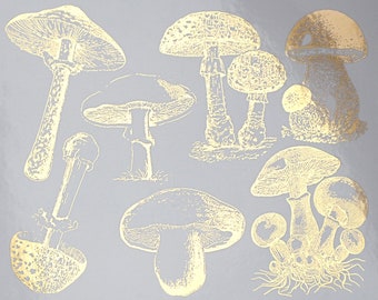 Vintage Mushroom Ceramic Decals, Glass Decals or Enamel Decals