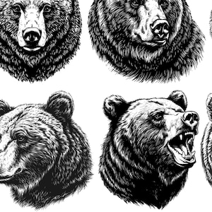 May include: Six black and white illustrations of bear heads. The bears are drawn in a realistic style with detailed fur and facial features. Some of the bears are shown with their mouths open, revealing their teeth.