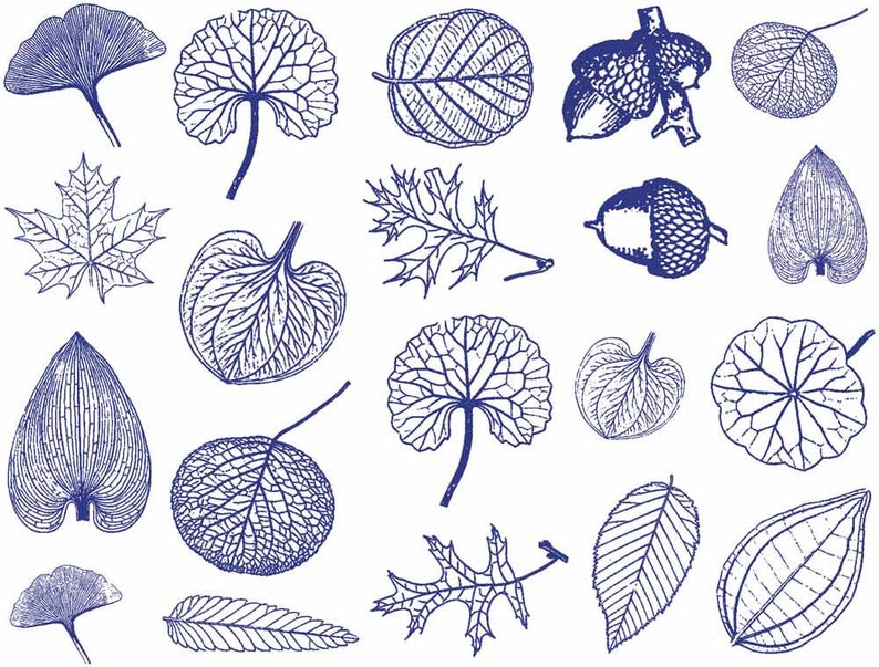 Small Leaves Decals for Ceramic, Glass and Enamel image 6