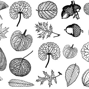 Small Leaves Decals for Ceramic, Glass and Enamel image 5