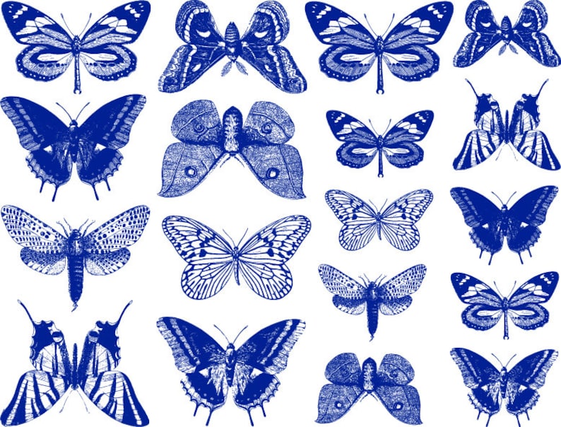 Small Butterfly Ceramic Decals, Glass Decals or Enamel Decals image 7