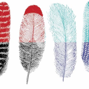 CONE 6 - Large Feathers #1 - Ceramic Decals, Glass Decals or Enamel Decals