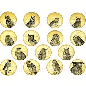 Puede incluir: Un conjunto de 12 círculos de papel redondos de color crema con ilustraciones de búhos de estilo vintage. Cada círculo presenta un búho diferente con detalles intrincados y un fondo de texto descolorido.