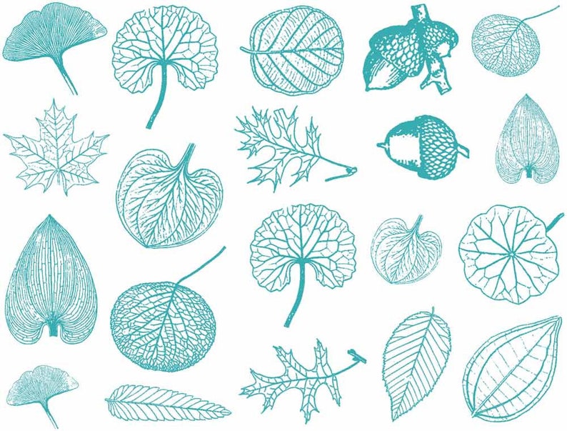 Small Leaves Decals for Ceramic, Glass and Enamel CONE 6 Teal