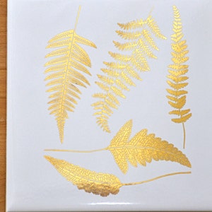 Ferns - Ceramic Overglaze Decal - Glass Fusing Decal - Enamel Decal - LEAD FREE & Food Safe