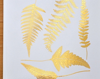 Ferns - Ceramic Overglaze Decal - Glass Fusing Decal - Enamel Decal - LEAD FREE & Food Safe