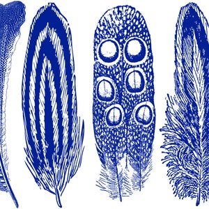 Large Feathers 2 Decals for Ceramic, Glass and Enamel Blue