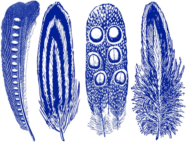 Large Feathers 2 Decals for Ceramic, Glass and Enamel Blue