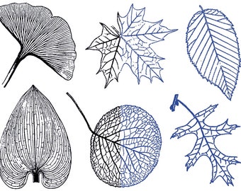 Cone 6 - Inglaze - Large Leaves - Decals for Ceramic - Lead Free - Food Safe