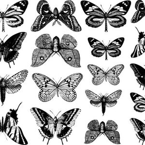 Small Butterfly Ceramic Decals, Glass Decals or Enamel Decals image 5