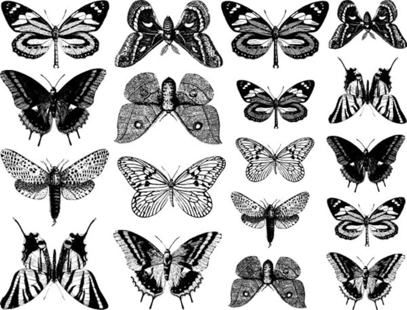 Small Butterfly Ceramic Decals, Glass Decals or Enamel Decals image 5