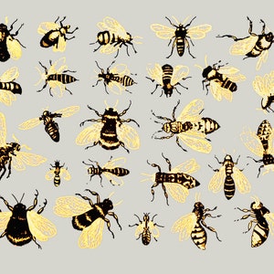 Two-Color Vintage Bees - Ceramic Overglaze Decal - Glass Fusing Decal - Enamel Decal - LEAD FREE & Food Safe