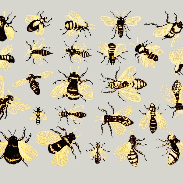 Two-Color Vintage Bees - ceramic decal, glass fusing, enamel decal