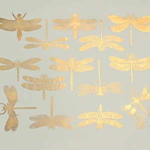 Dragonfly - Ceramic Overglaze Decal - Glass Fusing Decal - Enamel Decal - LEAD FREE & Food Safe
