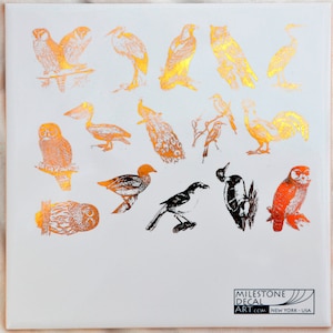 Puede incluir: Una hoja de calcomanías de lámina dorada con varias ilustraciones de pájaros. Las calcomanías incluyen un pavo real, un búho, un pato, un pelícano y más. Las calcomanías son perfectas para agregar un toque de elegancia a cualquier proyecto.