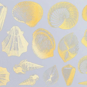 Może przedstawiać: Kolekcja 15 złotych muszli na jasnoniebieskim tle. Muszle są w różnych kształtach i rozmiarach, w tym spiralne, małżowe i stożkowe.
