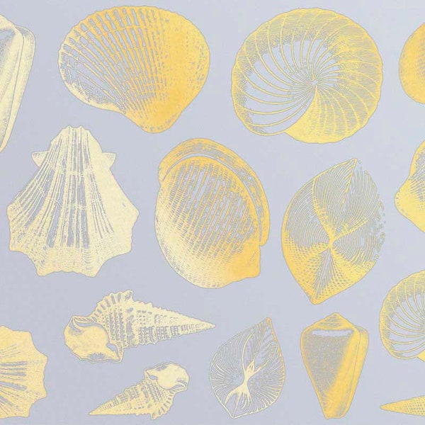 Seashell Ceramic Decals, Glass Decals or Enamel Decals