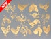 Vintage Chickens Ceramic Decals, Glass Fusing Decals, Waterslide Decals, Ceramic Transfers 