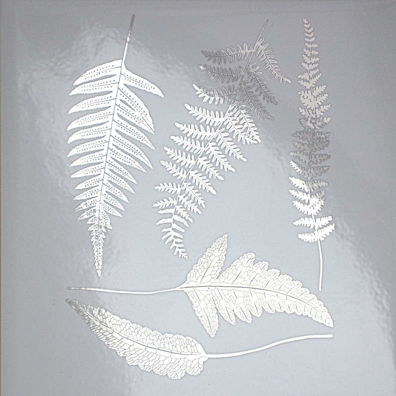 Papier Décalcomanie Céramique Motif Ginkgo Biloba - Lot De 3 Feuilles 54x37 Cm - Pour Décoration Sous Glaçure Porcelaine, Poterie - Transfert Bleu Et Blanc
