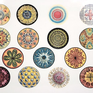 Colorful Circles - Ceramic Overglaze Decal - Glass Fusing Decal - Enamel Decal - Not Food Safe