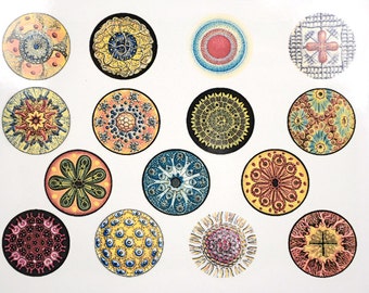 Colorful Circles Ceramic Decals, Glass Fusing Decals, Enamel Decals