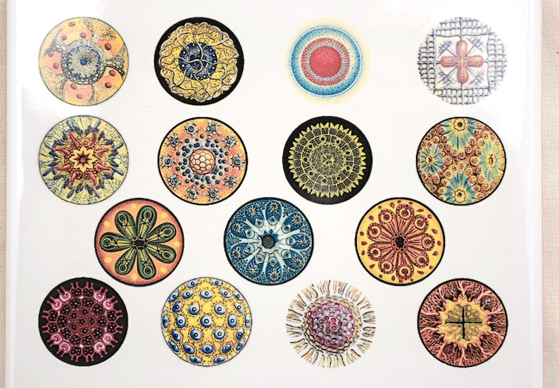 Colorful Circles Ceramic Decals Glass Fusing Decals Enamel Etsy