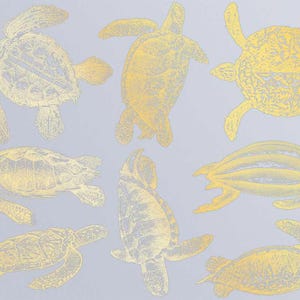 Decalcomanie di tartaruga di mare per ceramica, vetro, smaltate.