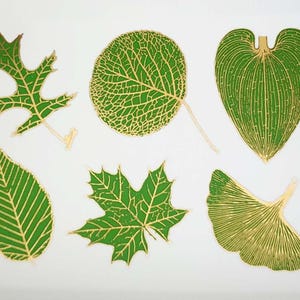 May include: Six green leaf shapes with gold veins on a white background. The leaves are in various shapes and sizes, including oak, maple, and ginkgo.