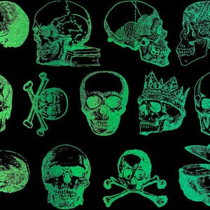 GLOW in the Dark Skulls - Dekaler för glas, keramik eller emalj - Ej livsmedelssäkert - 1080F/580C