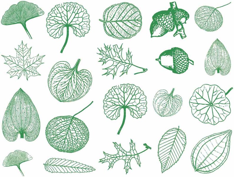 Small Leaves Decals for Ceramic, Glass and Enamel Green