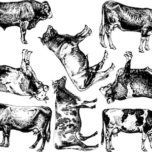 Cows - Ceramic Overglaze Decal - Glass Fusing Decal - Enamel Decal - LEAD FREE & Food Safe
