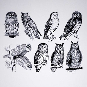 May include: A collection of nine black and white illustrations of owls. The owls are depicted in various poses, including perched, flying, and looking to the side. The illustrations are detailed and realistic.