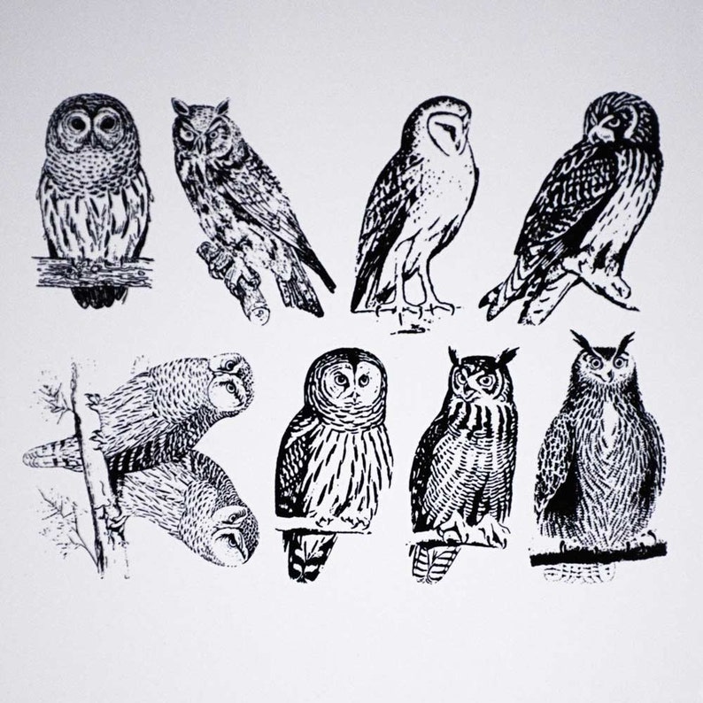 Owl Ceramic Decals Glass Decals or Enamel Decals Etsy